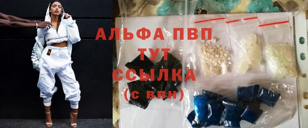 ECSTASY Ладушкин