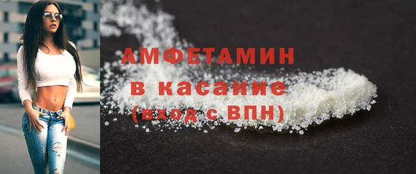 стаф Алексин