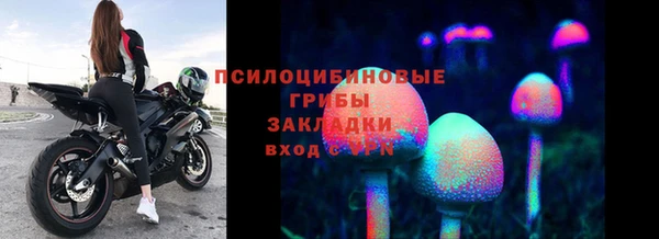 винт Аркадак