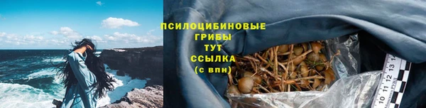 PSILOCYBIN Армянск