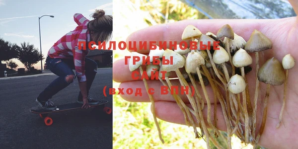 дмт Алзамай