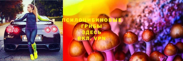 дмт Алзамай