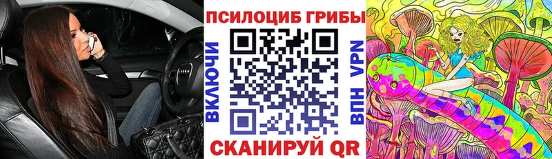 где найти   omg ТОР  Псилоцибиновые грибы Magic Shrooms  Пушкино 
